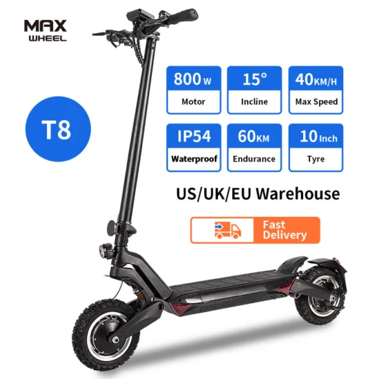 OEM China Factory Citycoco 2000W Motor 20ah Portable Folding Adult Electric Scooter with Seat
